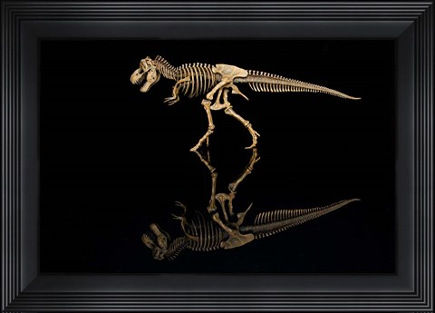 Framed T-Rex Skeleton Replica Reflection Print