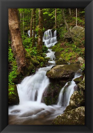 Framed Cascade Along The Little River Print