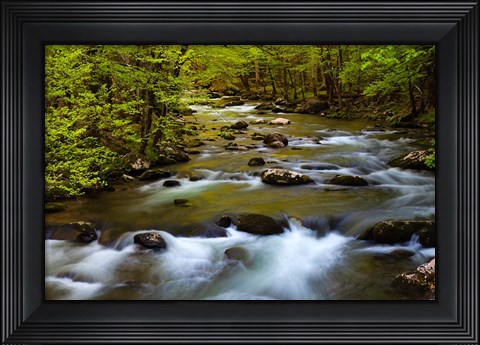 Framed Spring Reflections On The Little River Print