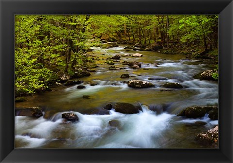 Framed Spring Reflections On The Little River Print