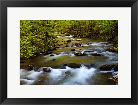 Framed Spring Reflections On The Little River Print