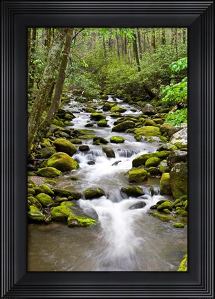 Framed Roaring Fork In Spring, Tennessee Print