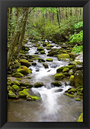 Framed Roaring Fork In Spring, Tennessee Print