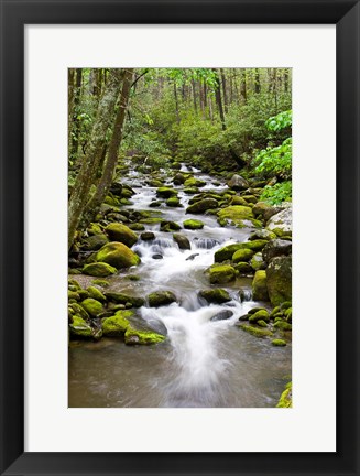 Framed Roaring Fork In Spring, Tennessee Print