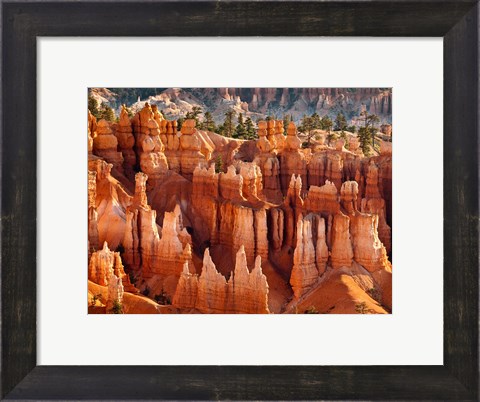 Framed Morning Light On The Hoodoos Of Bryce Canyon National Park Print
