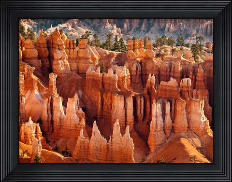 Framed Morning Light On The Hoodoos Of Bryce Canyon National Park Print