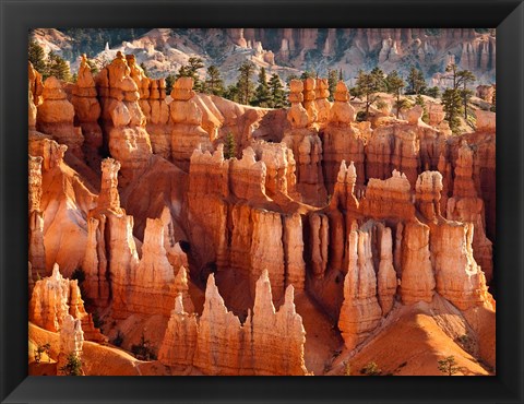 Framed Morning Light On The Hoodoos Of Bryce Canyon National Park Print