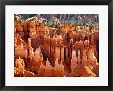 Framed Morning Light On The Hoodoos Of Bryce Canyon National Park Print