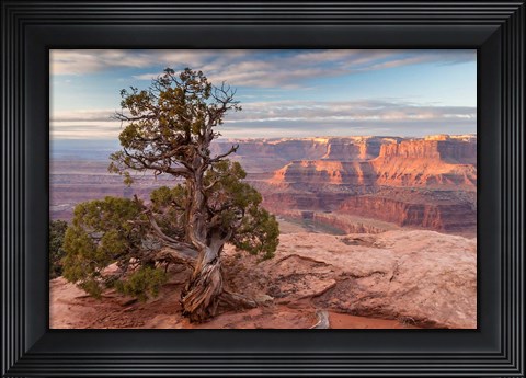 Framed Sunrise At Dead Horse Point State Park, Utah Print