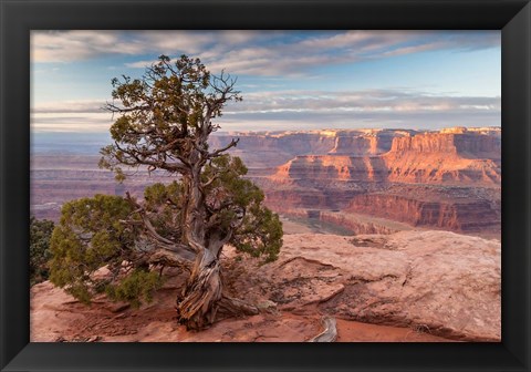 Framed Sunrise At Dead Horse Point State Park, Utah Print