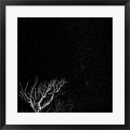 Framed Dead Tree And Night Sky At The Capitol Reef National Park, Utah Print