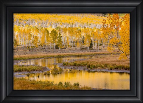 Framed Fishlake National Forest Landscape, Utah Print