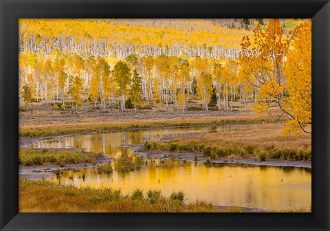 Framed Fishlake National Forest Landscape, Utah Print