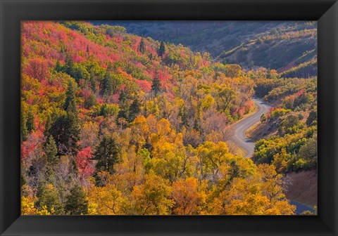 Framed Landscape With Nebo Loop Road, Uinta National Forest, Utah Print