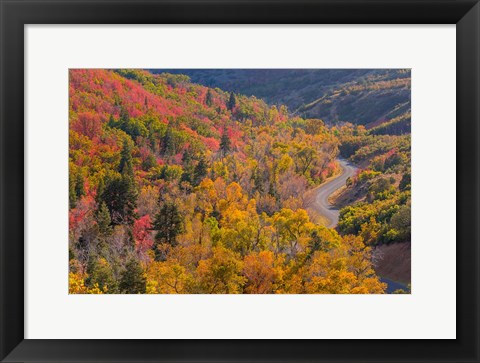 Framed Landscape With Nebo Loop Road, Uinta National Forest, Utah Print