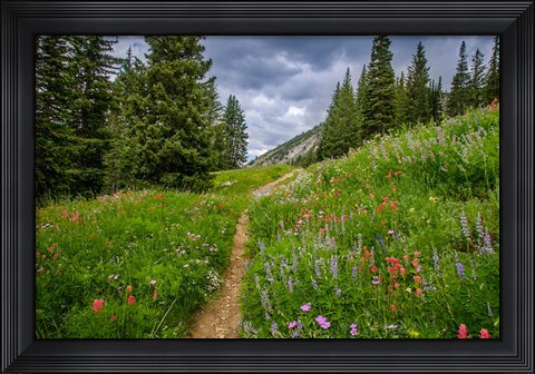 Framed Wildflowers In The Albion Basin, Utah Print
