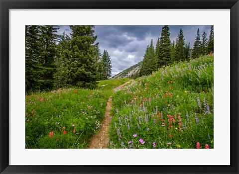 Framed Wildflowers In The Albion Basin, Utah Print