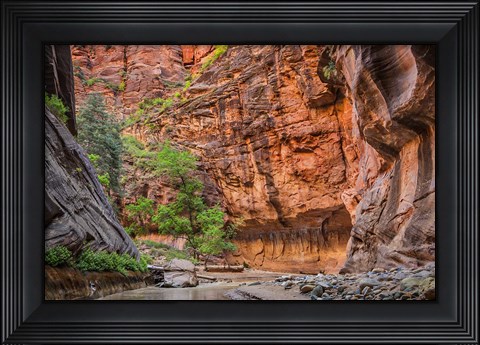 Framed Zion Narrows, Utah Print