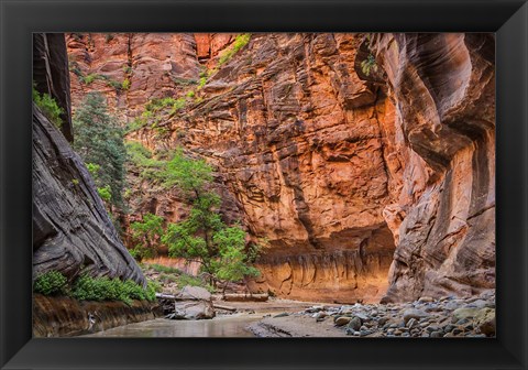 Framed Zion Narrows, Utah Print