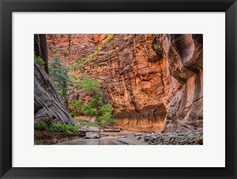 Framed Zion Narrows, Utah Print