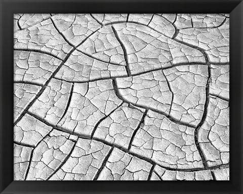 Framed Wahweap Mud Cracks, Arizona Print