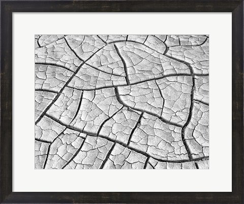 Framed Wahweap Mud Cracks, Arizona Print