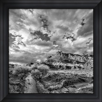 Framed Sulphur Creek, Capitol Reef National Park, Utah (BW) Print