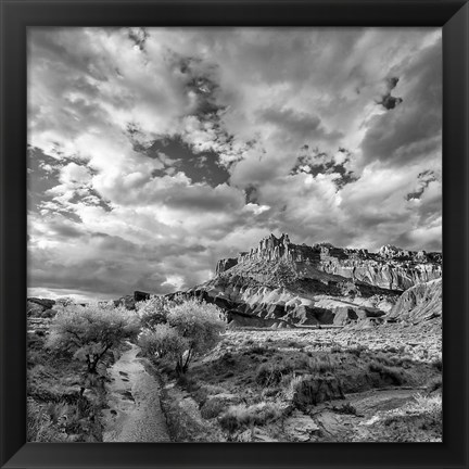 Framed Sulphur Creek, Capitol Reef National Park, Utah (BW) Print