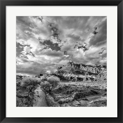 Framed Sulphur Creek, Capitol Reef National Park, Utah (BW) Print