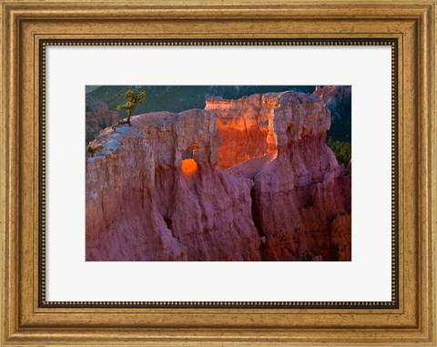 Framed First Light On The Hoodoos At Sunrise Point, Bryce Canyon National Park Print
