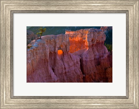 Framed First Light On The Hoodoos At Sunrise Point, Bryce Canyon National Park Print