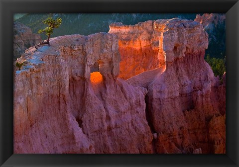 Framed First Light On The Hoodoos At Sunrise Point, Bryce Canyon National Park Print