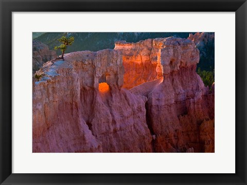 Framed First Light On The Hoodoos At Sunrise Point, Bryce Canyon National Park Print