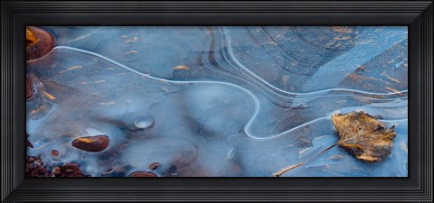 Framed Frozen Leaf Surrounded By Ice Print