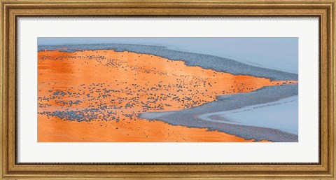 Framed Colorado River Ice And Canyon Wall Reflections, Moab, Utah Print
