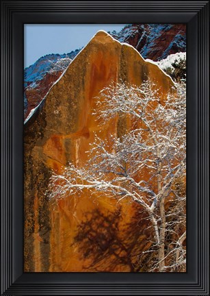 Framed Snow Covered Tree In Front Of Red Rock Boulder, Utah Print