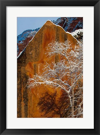 Framed Snow Covered Tree In Front Of Red Rock Boulder, Utah Print