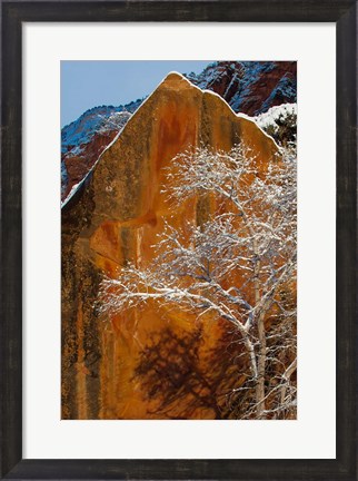 Framed Snow Covered Tree In Front Of Red Rock Boulder, Utah Print