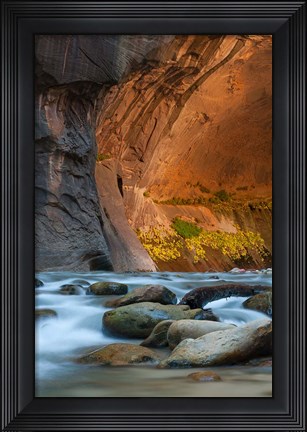 Framed Autumn Foliage Inside The Narrows, Utah Print
