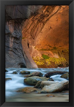 Framed Autumn Foliage Inside The Narrows, Utah Print