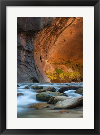 Framed Autumn Foliage Inside The Narrows, Utah Print