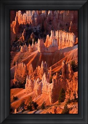 Framed Sunrise Point Hoodoos In Bryce Canyon National Park, Utah Print
