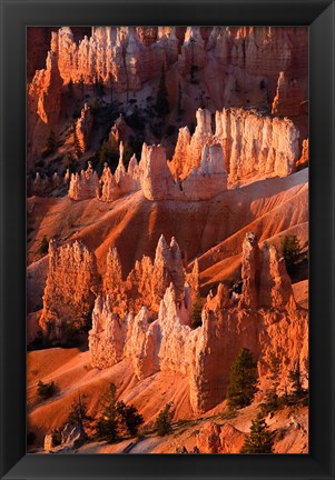 Framed Sunrise Point Hoodoos In Bryce Canyon National Park, Utah Print