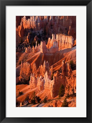 Framed Sunrise Point Hoodoos In Bryce Canyon National Park, Utah Print