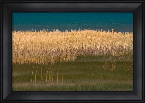 Framed Grasses Blowing In The Breeze Along The Shore Of Bear Lake, Utah Print