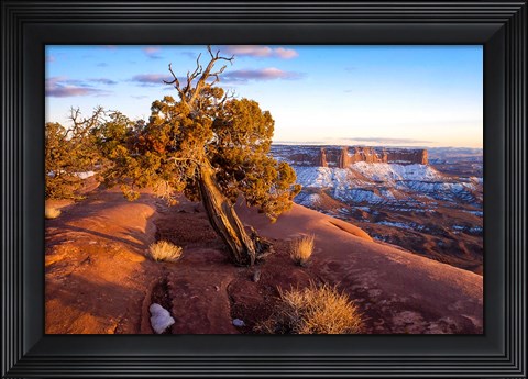 Framed Overlook Vista At Canyonlands National Park, Utah Print