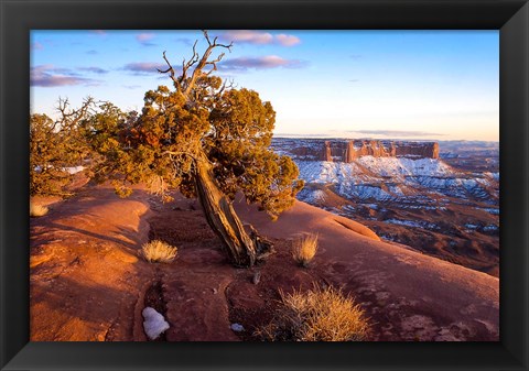 Framed Overlook Vista At Canyonlands National Park, Utah Print