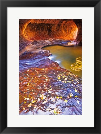 Framed Subway Along North Creek With Fallen Leaves, Utah Print