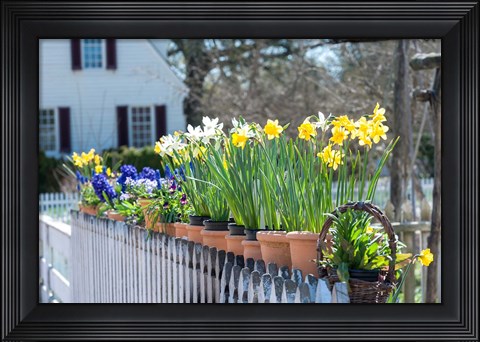 Framed Garden At Colonial Williamsburg, Virginia Print