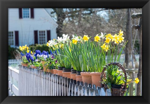 Framed Garden At Colonial Williamsburg, Virginia Print